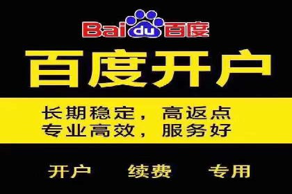 百度搜索推广实战：经典案例深度剖析