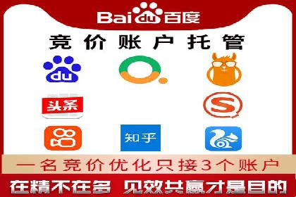 某电商平台的SEM广告投放策略及效果评估